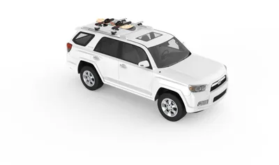 Yakima FatCat EVO 4